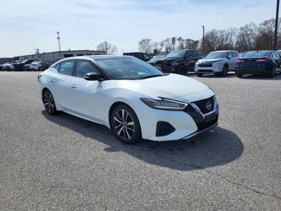 2023 Nissan Maxima SL