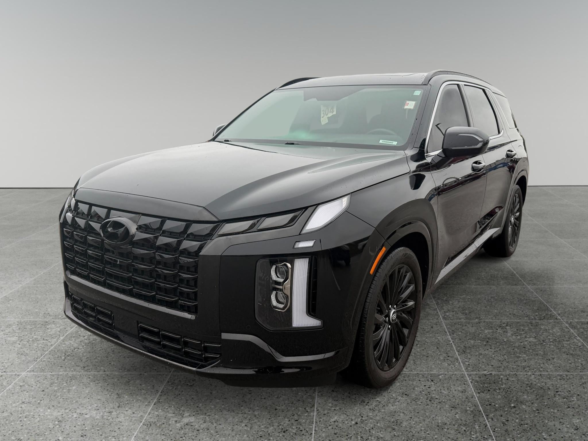 2025 Hyundai PALISADE Calligraphy Night Edition