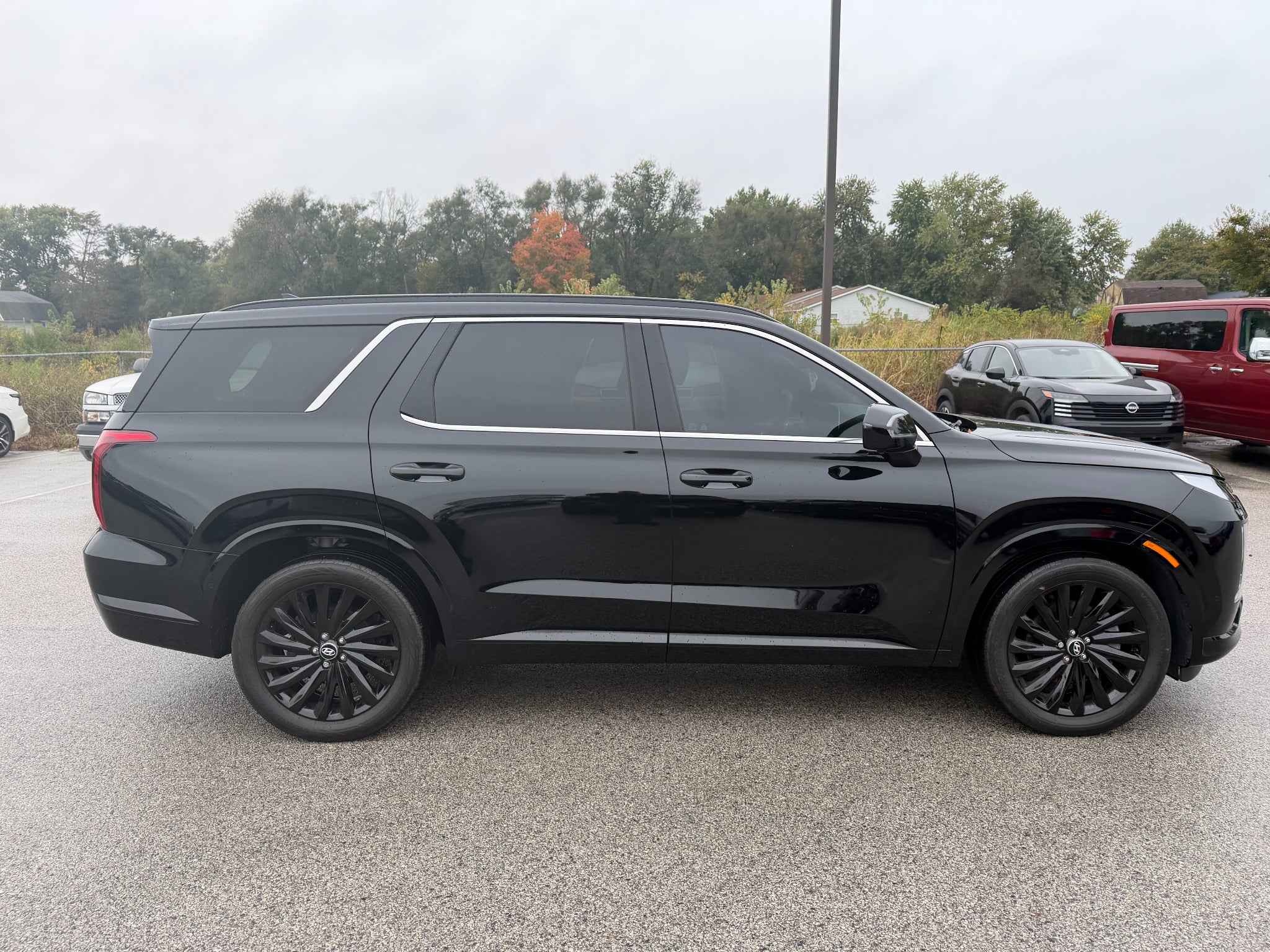 2025 Hyundai PALISADE Calligraphy Night Edition