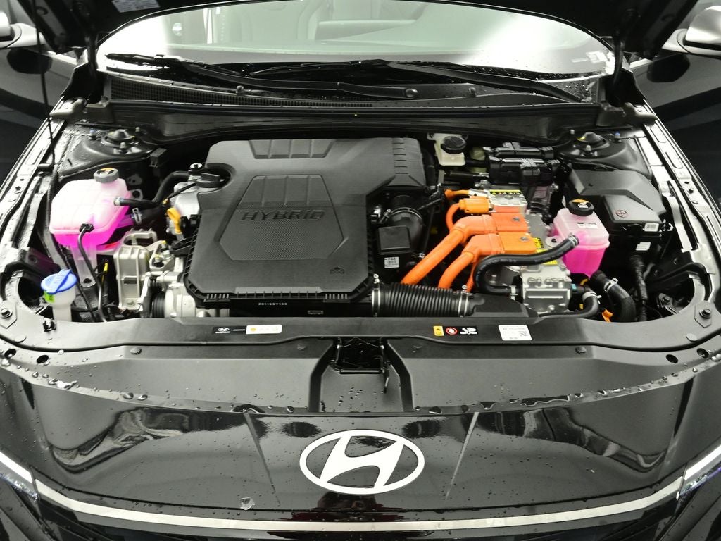 2026 Hyundai ELANTRA HYBRID Limited
